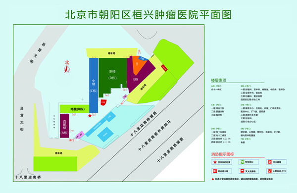 视频屄屄爱大鸡巴北京市朝阳区桓兴肿瘤医院平面图